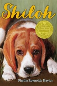 Shiloh – A1