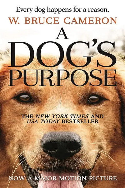 Dog’s Purpose Collection