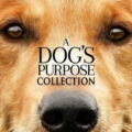 u243179-dogs-purpose-collection