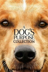 Dog’s Purpose Collection (2017-2019)