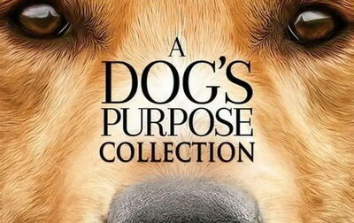 u243179-dogs-purpose-collection