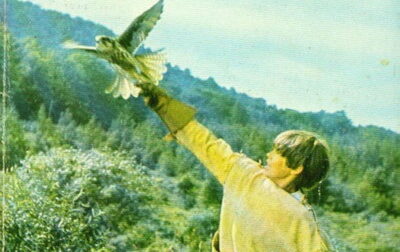 u243179-my-side-of-the-mountain-book-cover